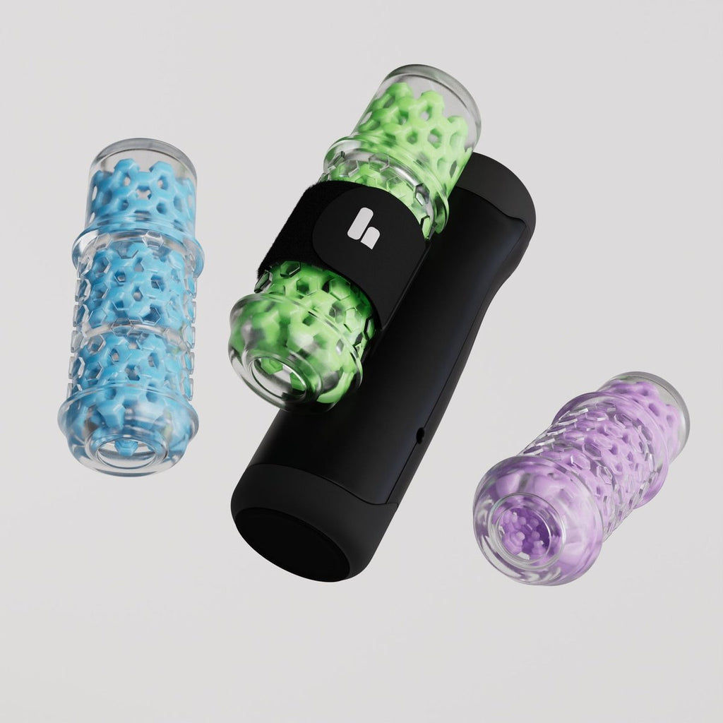 The Limited Bundle-3