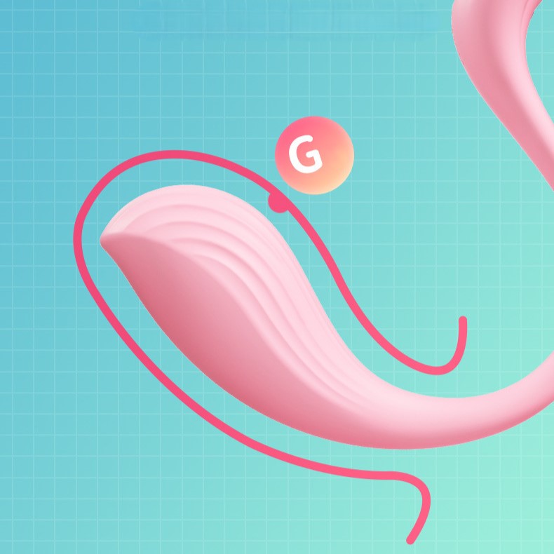 SVAKOM Phoenix NEO 2 Wearable Panty G-Spot Vibrator App-Controlled-1